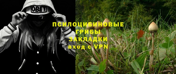 2c-b Богданович