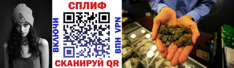 Бошки Шишки план  Кирс 
